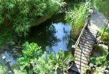 Der schöne Garten