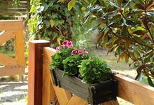 Der schöne Garten